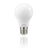 LED BOMBILLA ROBLAN FROST 6.2W-E27-730LM-4000K-FRI