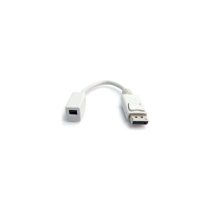 STARTECH ADAPTADOR DISPLAYPORT TO MINI DISPLAYPORT