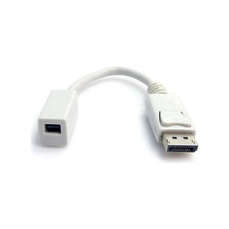 STARTECH ADAPTADOR DISPLAYPORT TO MINI DISPLAYPORT