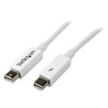 STARTECH CABLE 50CM THUNDERBOLT? - BLANCO - MACHO