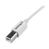 STARTECH CABLE ADAPTADOR USB 2.0 3M IMPRESORA - 1X