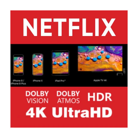 Suscripción NETFLIX 4K UltraHD (Perfil Compartido Privado)