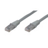 Phasak - Blister 4 unidades Cable de red latiguillo UTP CAT.6 Cu de 0,25m - 24AWG - Color GRIS