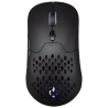 RATON GAMING HIDITEC GX30 PRO WIRELESS